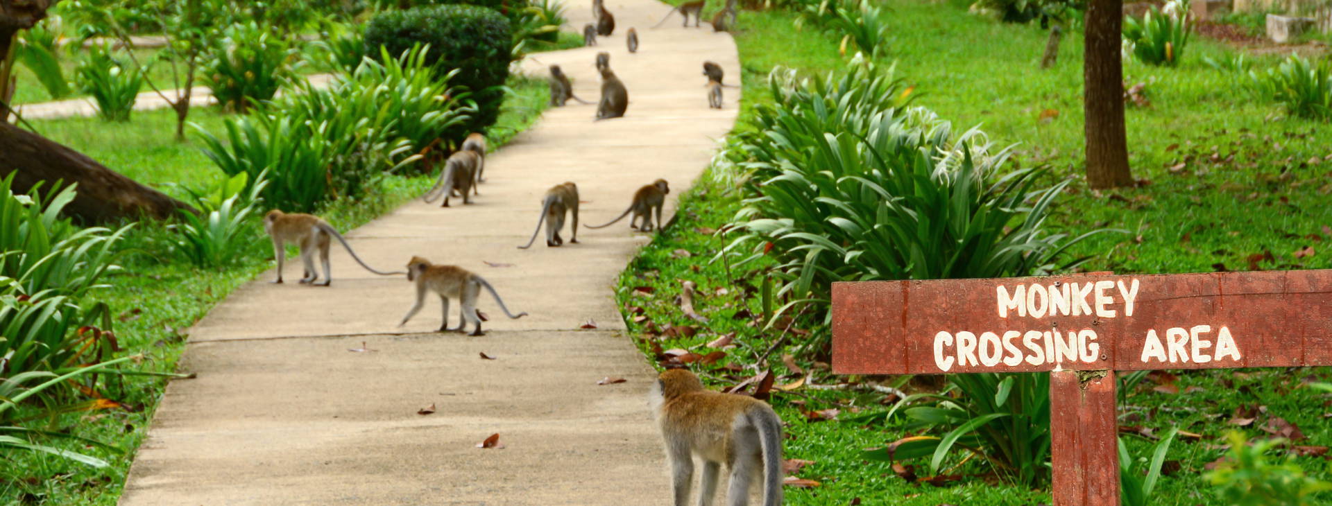 Ubytování SIL Obrázek1