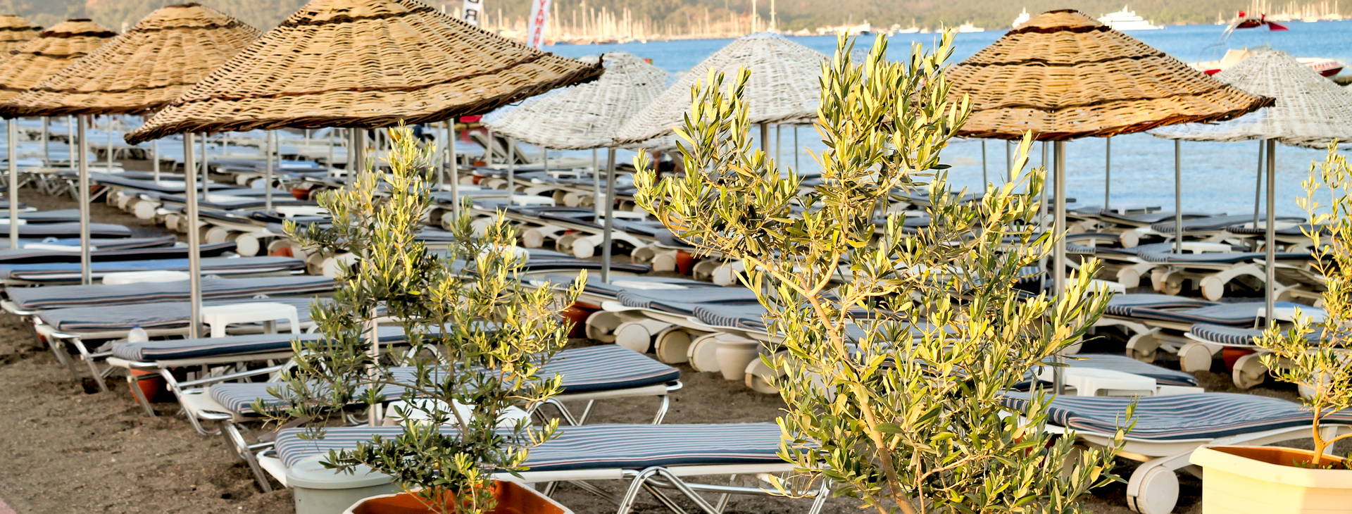 Pasa Garden Obrázek4