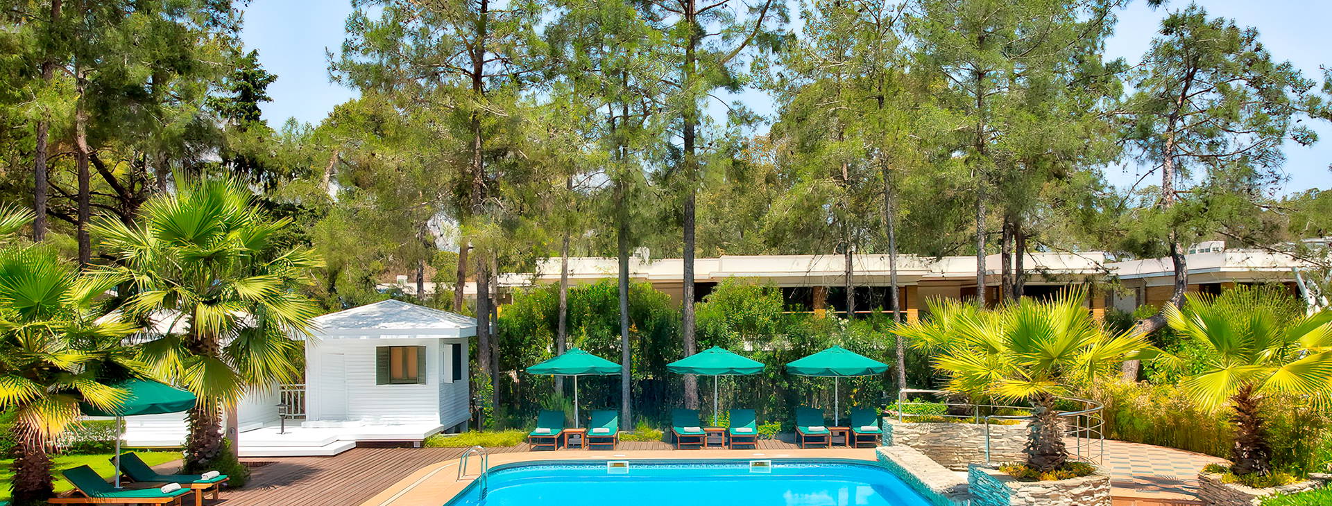 Balmy Foresta Obrázek2