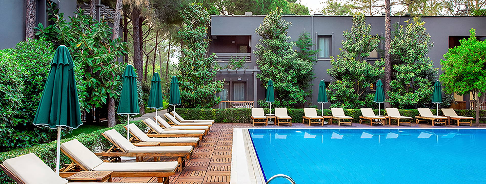 Balmy Foresta Obrázek1