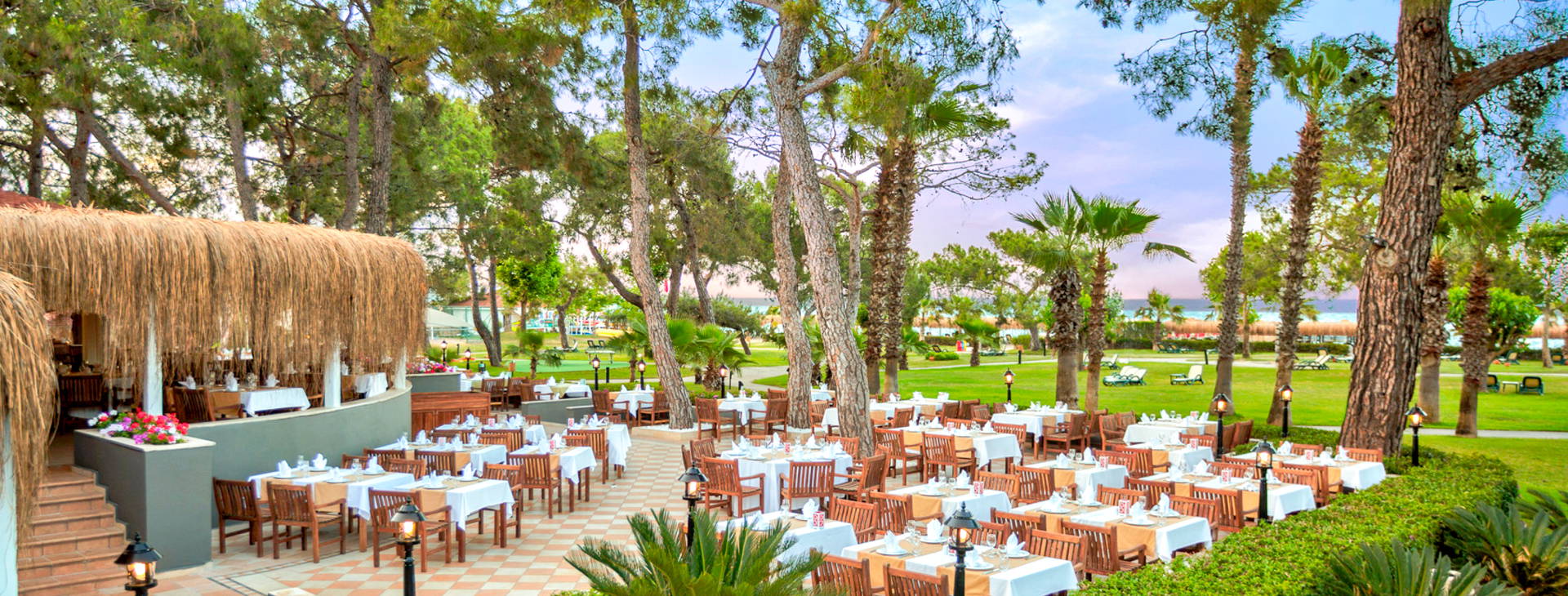 Balmy Foresta Obrázek14