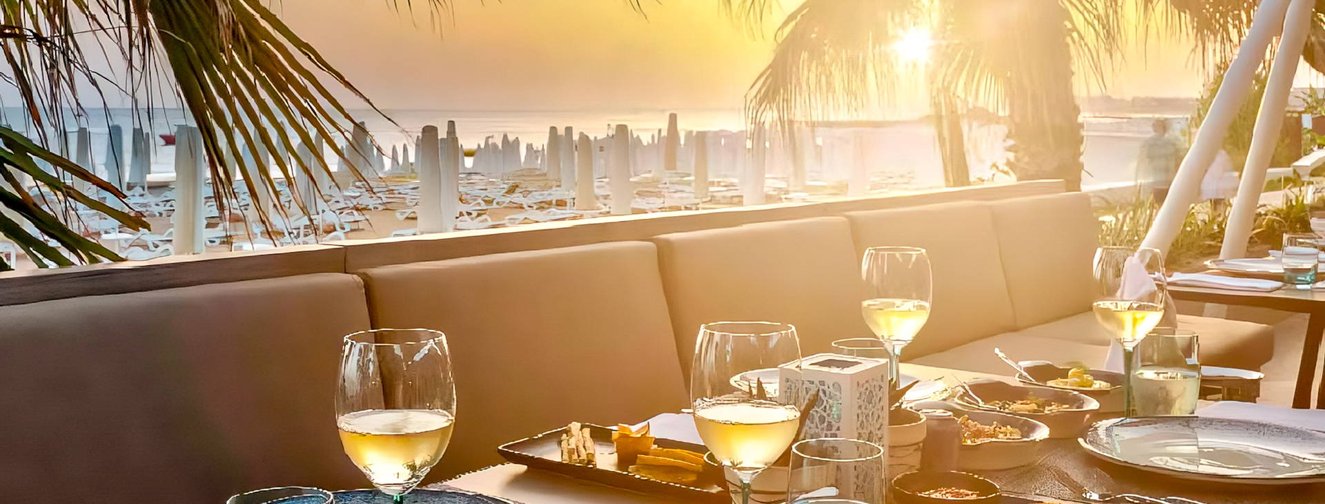 Balmy Foresta Obrázek13