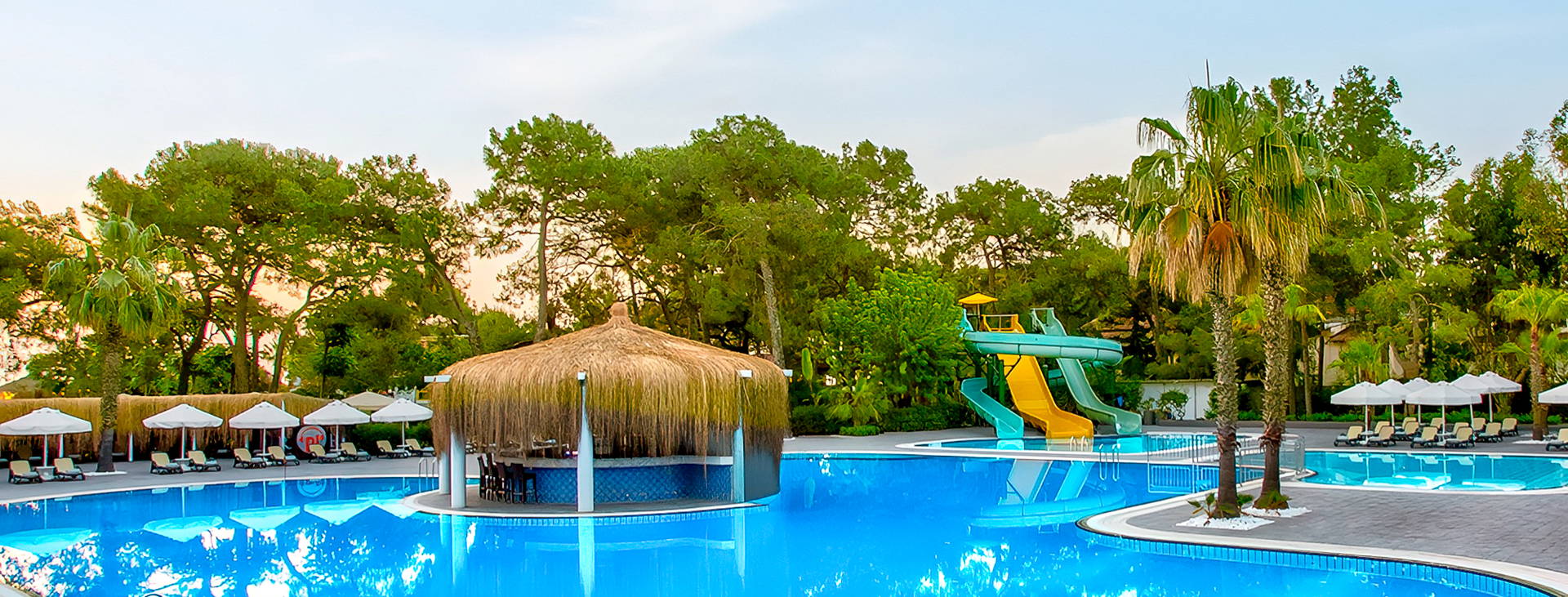 Balmy Foresta Obrázek1