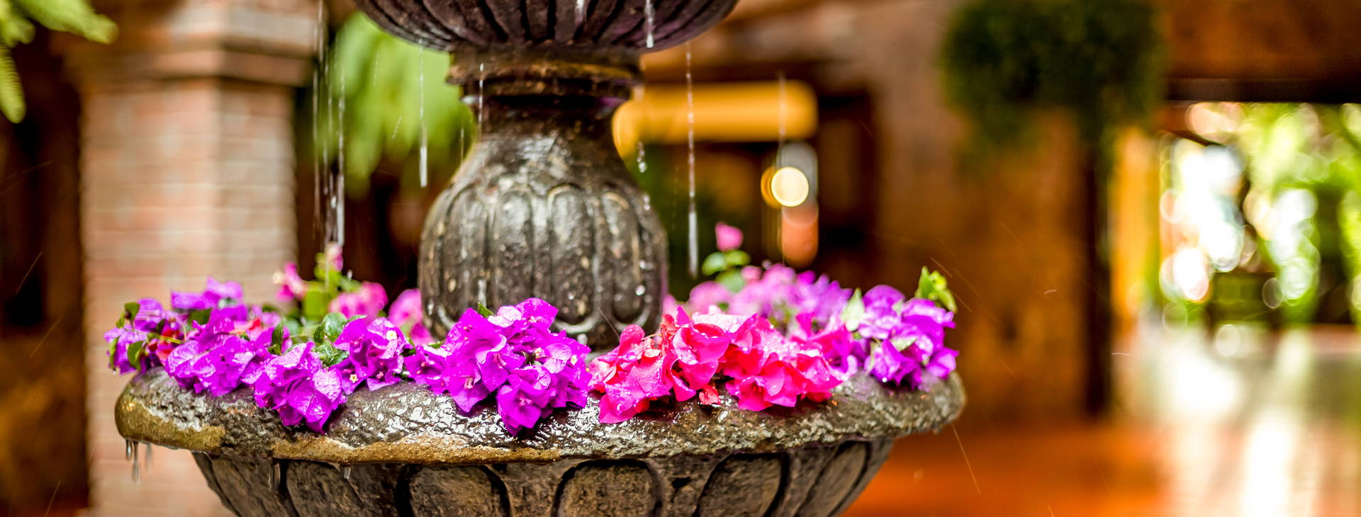 Hacienda Buenaventura Hotel Spa & Beach Club Obrázek25