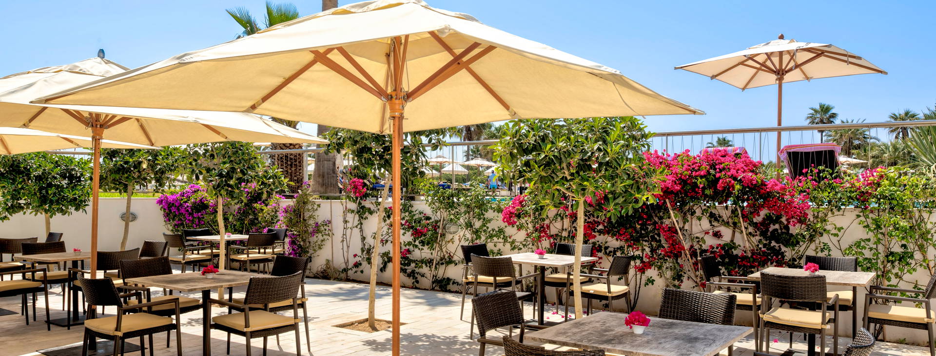 IBEROSTAR Selection Diar El Andalous Obrázek25