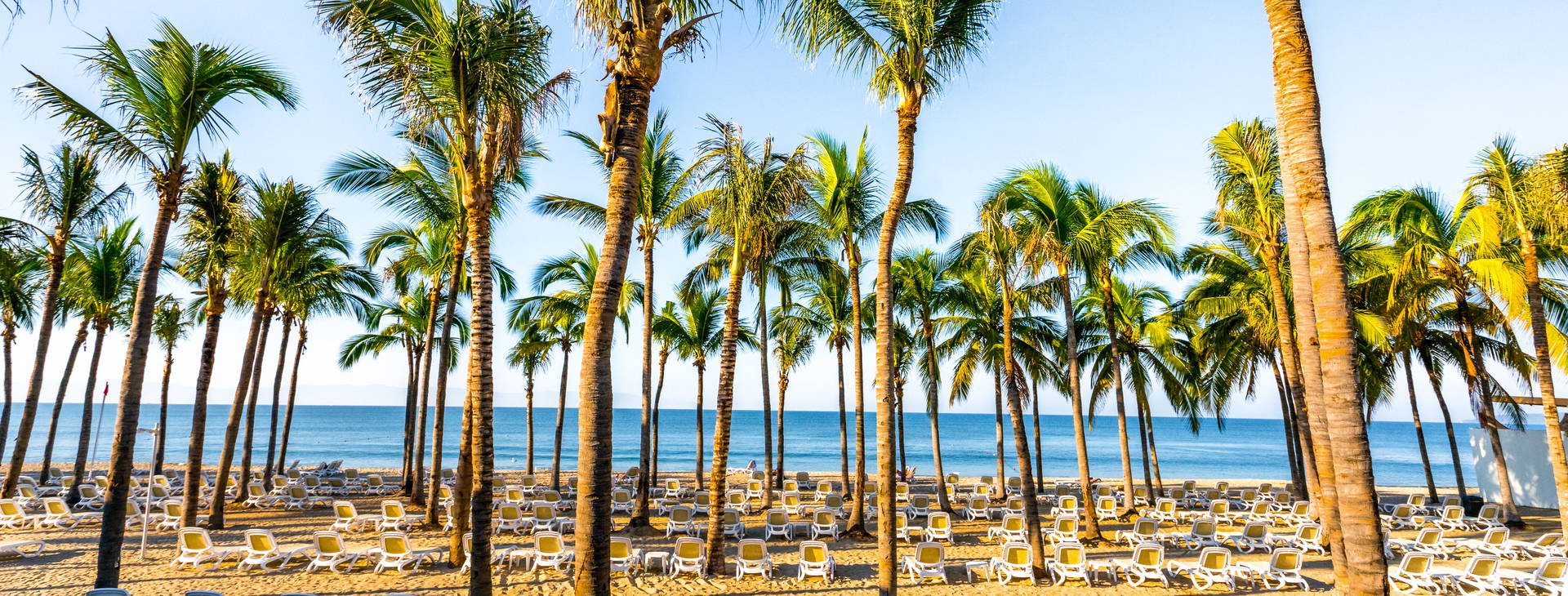 Riu Vallarta Obrázek7
