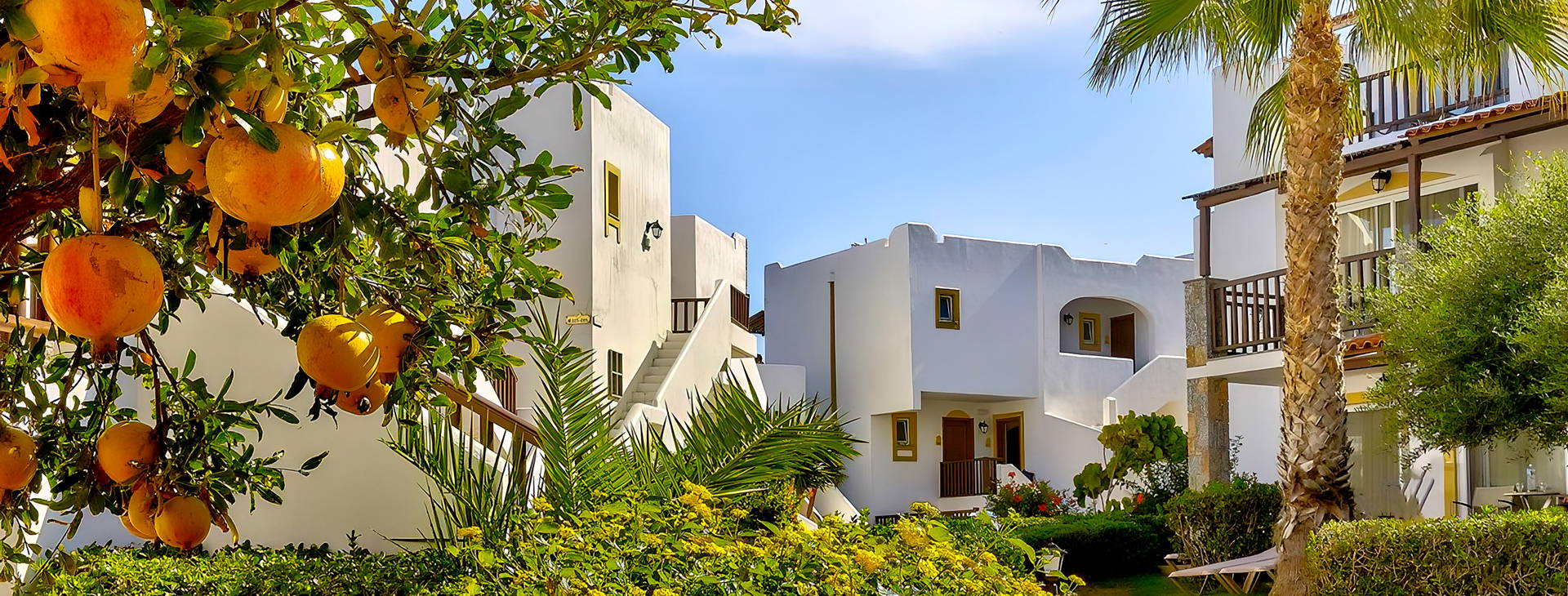 Alexander Beach Kreta Obrázek28