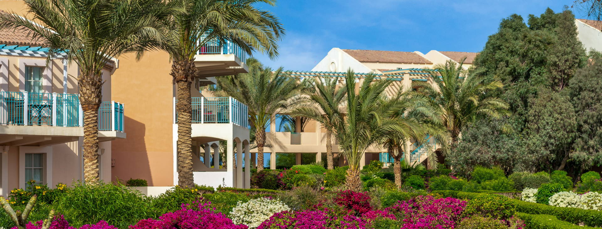 Movenpick Resort and Spa El Gouna Obrázek5