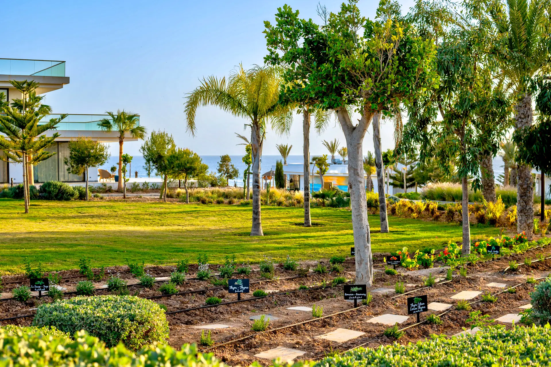 Hyatt Regency Taghazout Obrázek75