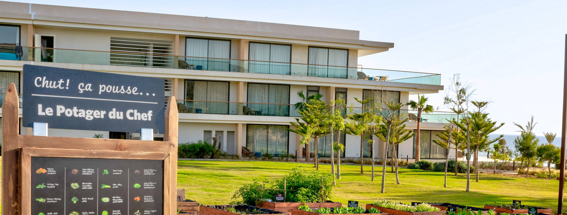 Hyatt Regency Taghazout Obrázek25