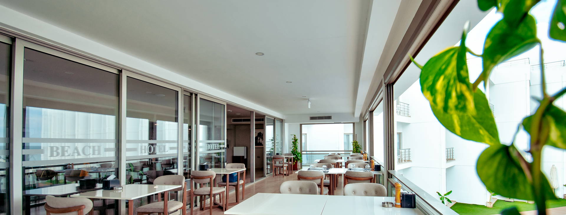  Mimoza Beach Hotel Obrázek17
