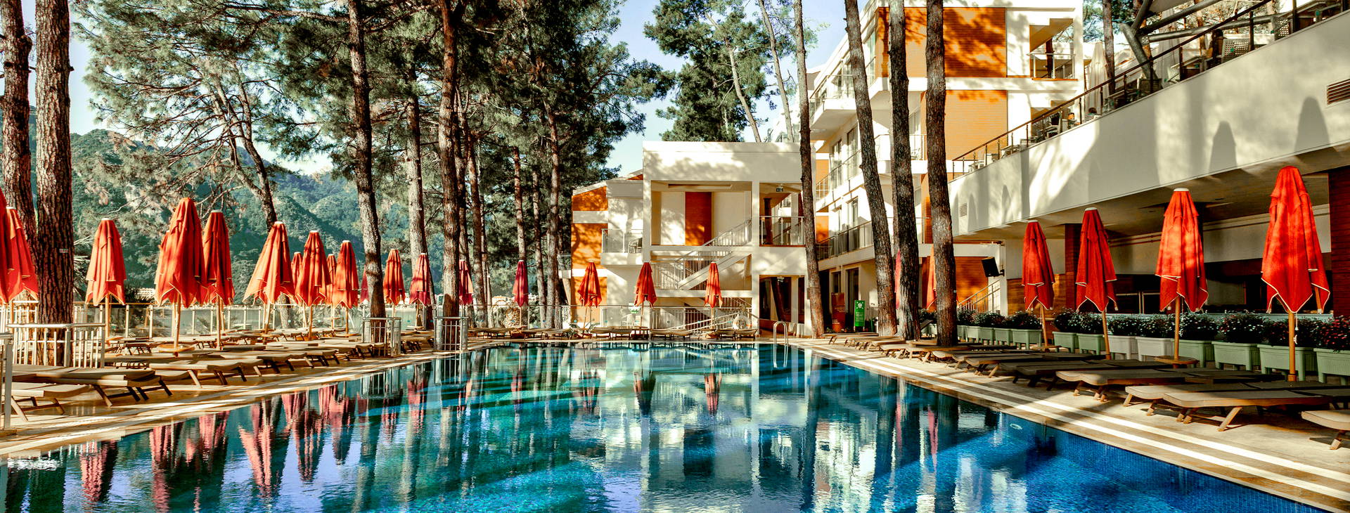 Orka Lotus Beach Hotel Obrázek4