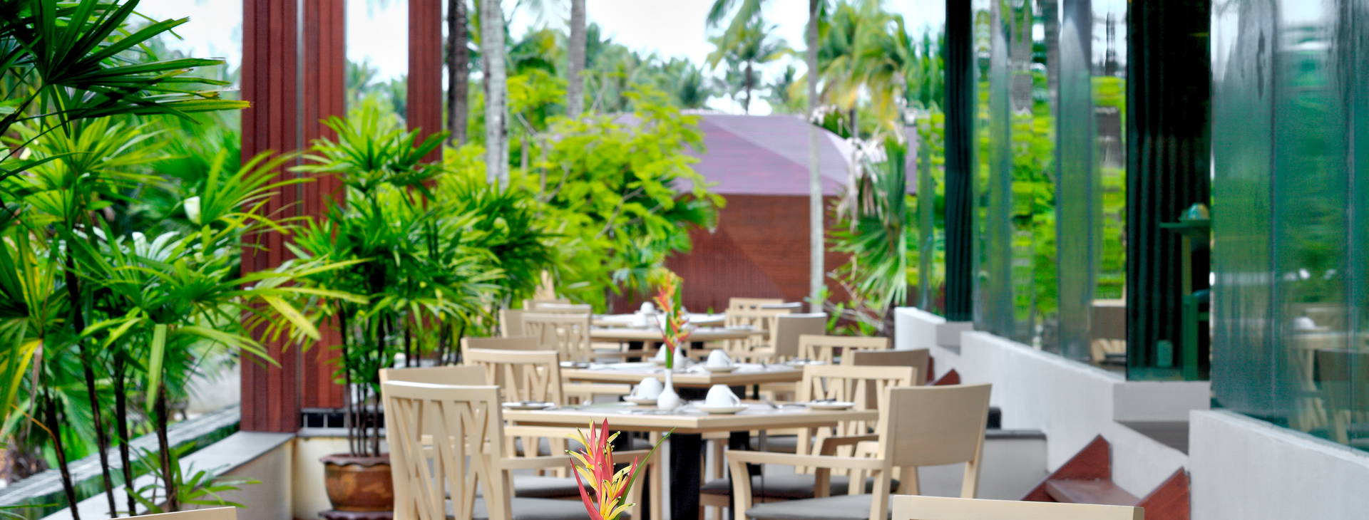 Graceland Khao Lak Beach Resort Obrázek14