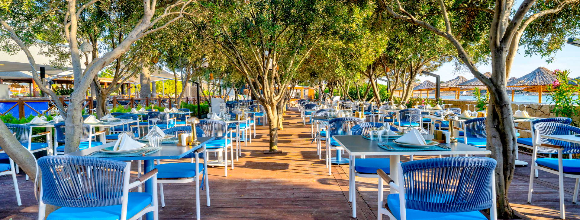 Agaya Didim Obrázek15