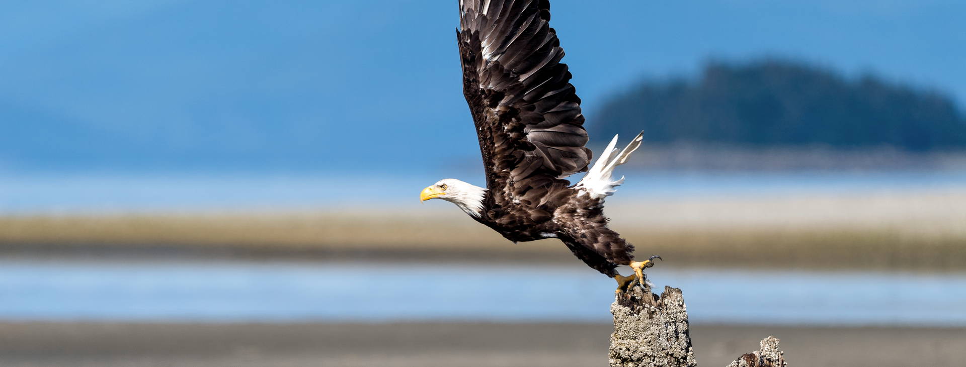 Ubytování ALT (Norwegian Bliss) Obrázek8