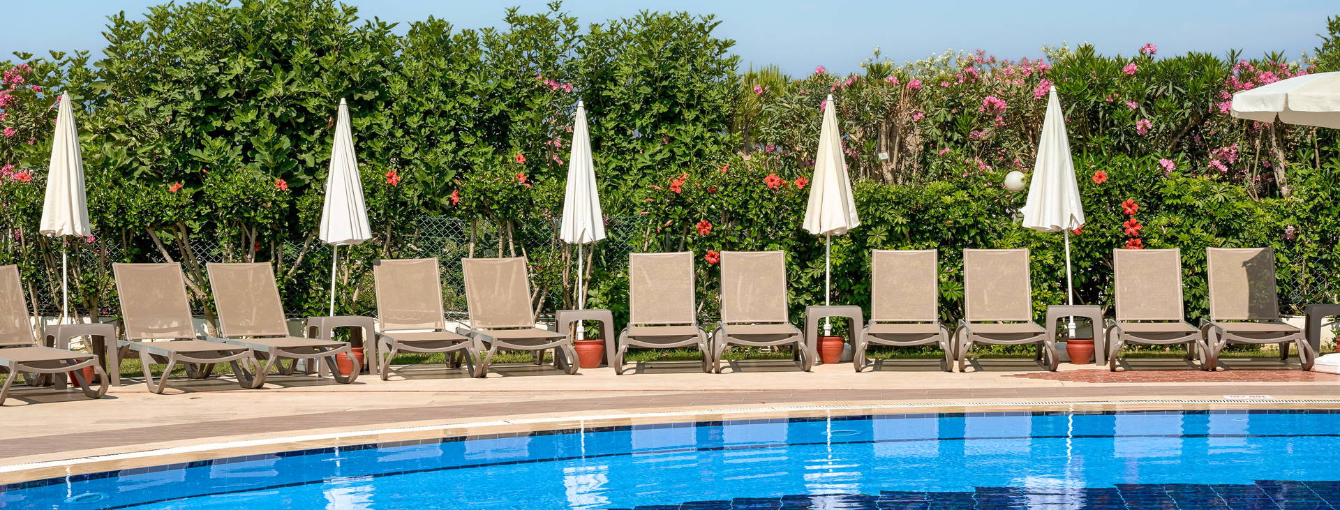 Club Titan Hotel Obrázek3