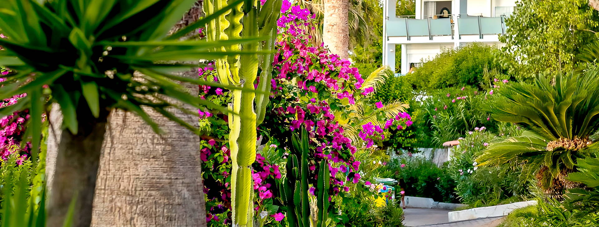 Hotel Villaggio Stromboli Obrázek8