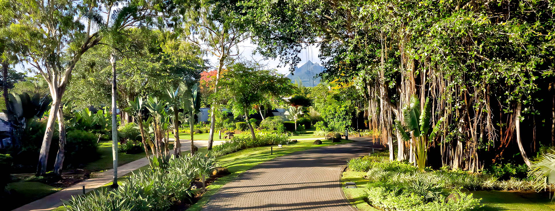 Four Seasons Resorts Mauritius At Anahita Obrázek19
