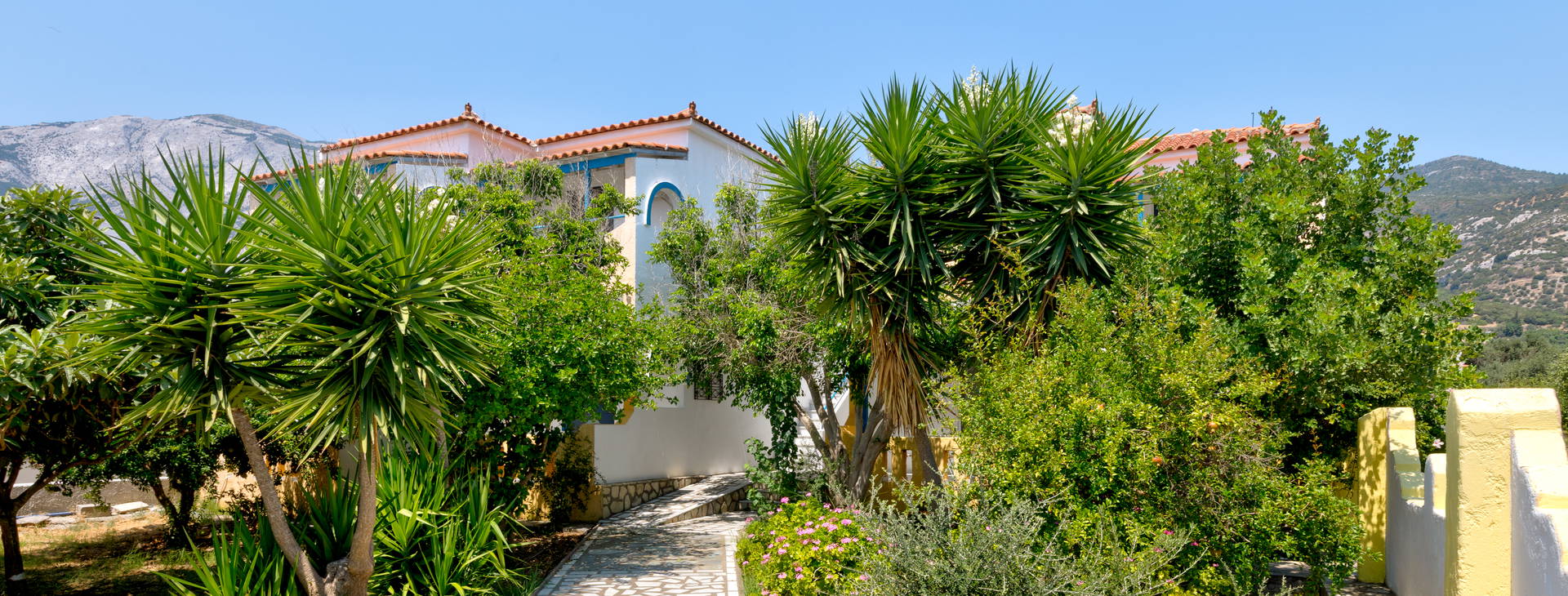 Pavlis Studios Obrázek19